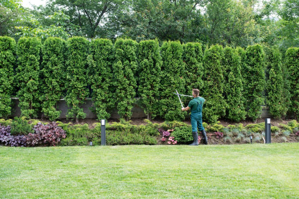 Trusted West Middlesex, PA Tree Removal and Landscaping Services Experts